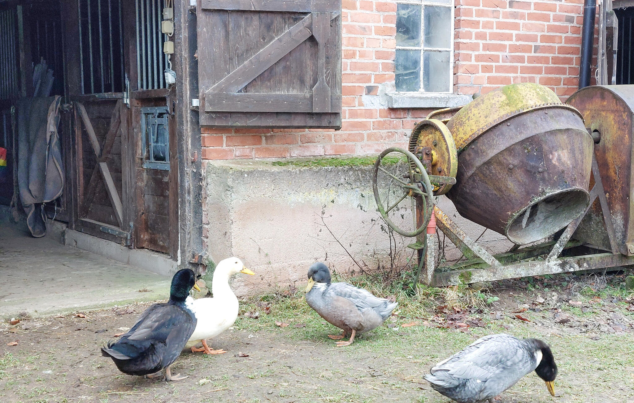 Vakantiehuis in Tyringe/Hässleholm (Zweden) 1 hond is welkom