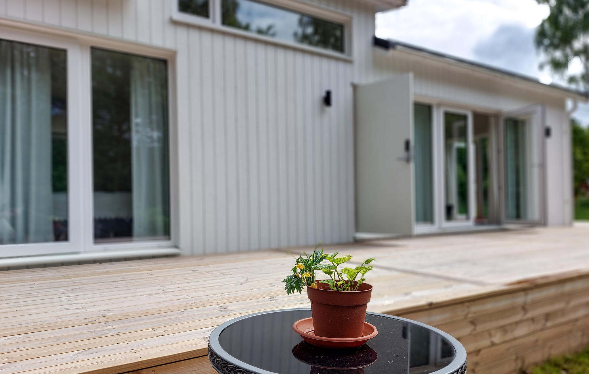 Ferienhaus mit umzäuntem Garten in Ludvigsborg/Höör (Schweden) und 2 Hunde erlaubt