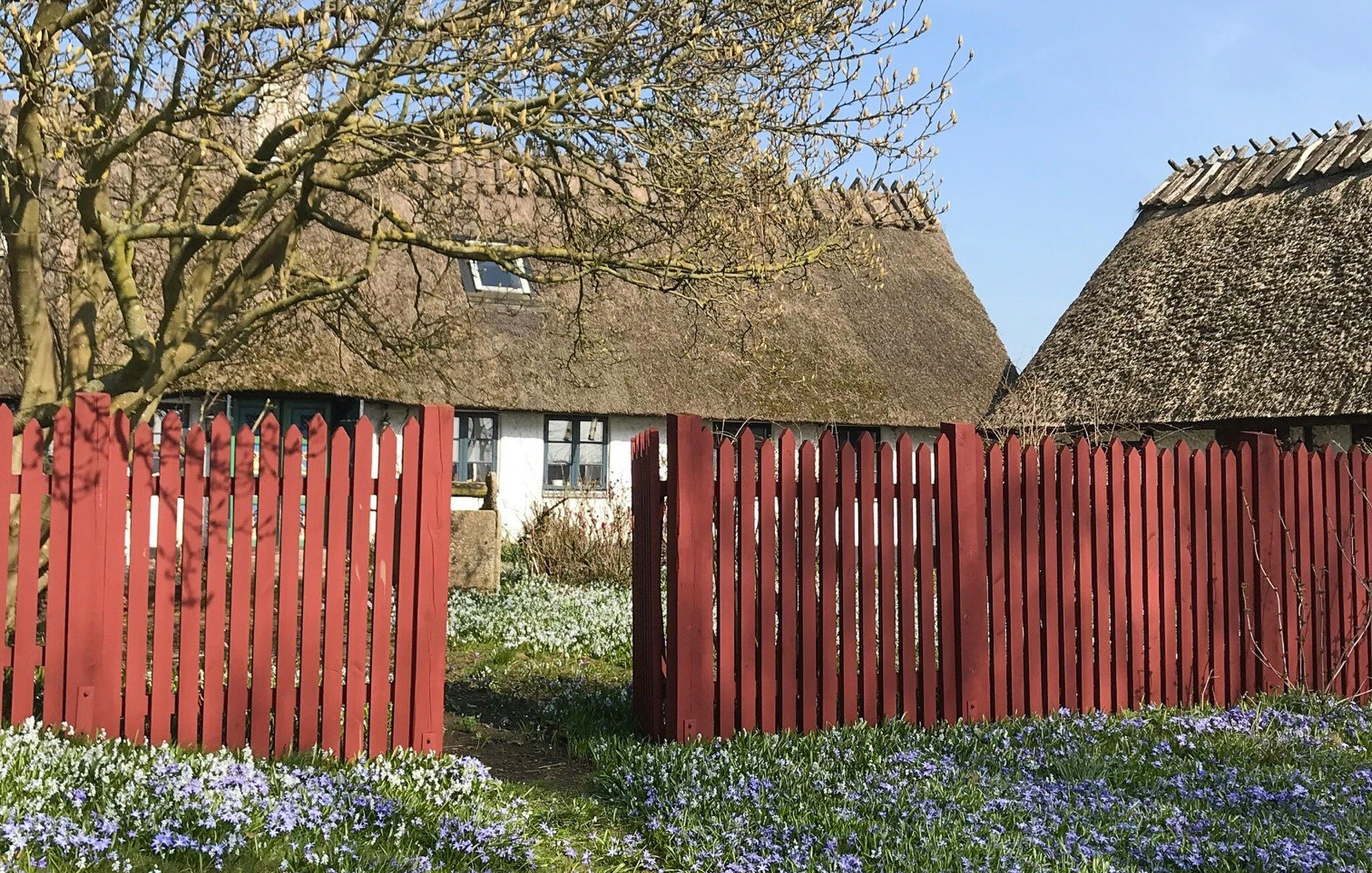 Ferienhaus mit umzäuntem Garten in Österlen/Skillinge (Schweden) und 2 Hunde erlaubt