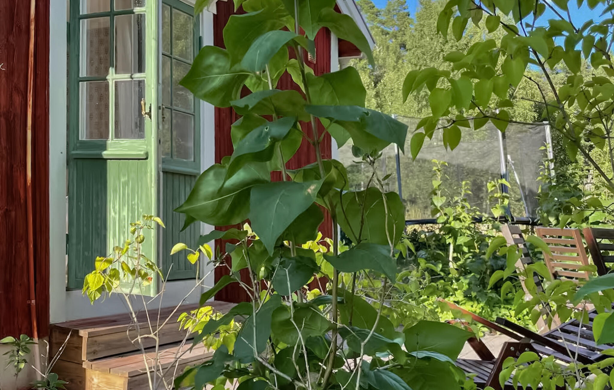 Ferienhaus in Uppsala/Norrtälje/Stockholm (Schweden) und 2 Hunde erlaubt