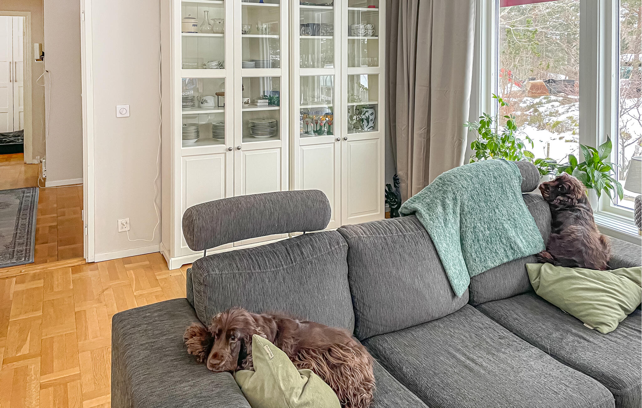Accommodation image