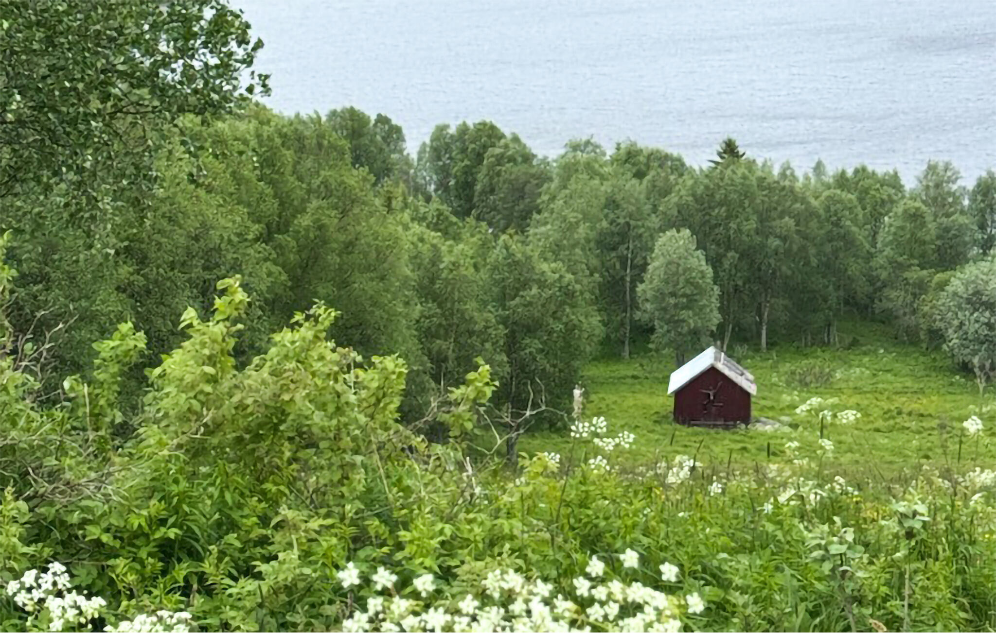 Vakantiehuis in Åre (Zweden) 3 honden zijn welkom