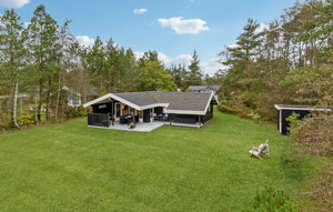 Holiday Home - Hulsig Strand , Denmark - A01610 1