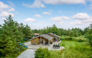 Ferienhaus - Ålbæk Strand , Dänemark - A18167