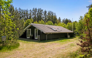 Holiday Home - Napstjert , Denmark - A19143 1
