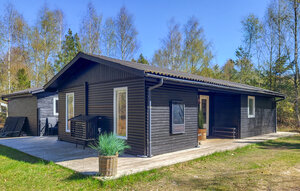 Holiday Home - Vesterø Strand , Denmark - A21010 1