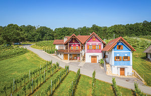 Holiday Home - Gaas , Austria - ABU133 1