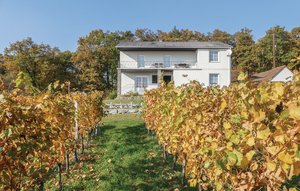 Holiday Home - Eisenberg , Austria - ABU150 1