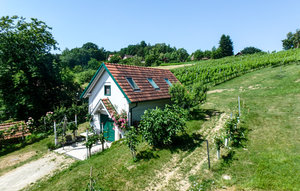 Holiday Home - Strem , Austria - ABU180 1