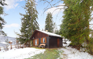 Holiday Home - Neumarkt , Austria - AST289 1