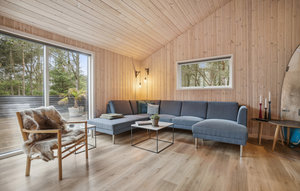 Ferienhaus - Vorupør , Dänemark - B10703