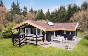 Holiday Home - Kollerup Klit , Denmark - B70814 1