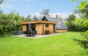 Holiday Home - Søndervig/Lodbjerg Hede , Denmark - C01061 1