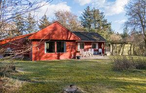 Holiday Home - Søndervig/Lodbjerg Hede , Denmark - C01159 1