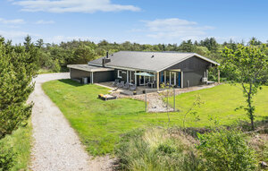 Holiday Home - Søndervig / Lodbjerg Hede , Denmark - C01179 1