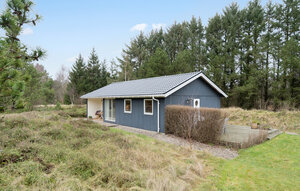 Holiday Home - Lodbjerg Hede / Søndervig , Denmark - C01622 1