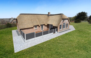Holiday Home - Vedersø Klit / Vester Husby , Denmark - C04601 1