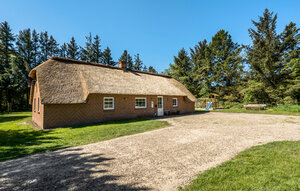 Holiday Home - Vedersø Klit / Vester Husby , Denmark - C04737 1