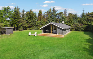 Ferienhaus - Kollerup Klit , Dänemark - C7194