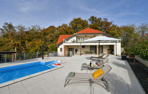 Holiday Home - Cakovec-Grabrovnik , Croatia - CCC666 1