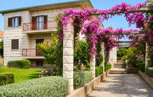 Apartment - Brac - Supetar , Croatia - CDB879 1