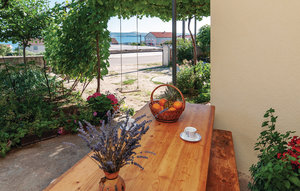 Apartment - Zadar-Maslenica , Croatia - CDZ984 1