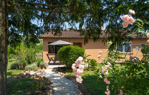 Ferienhaus - Vodnjan , Kroatien - CIC747