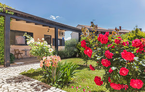 Holiday Home - Fazana-Valbandon , Croatia - CIF569 1