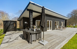 Holiday Home - Ahl Strand , Denmark - D01009 1