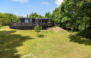 Holiday Home - Boeslum Bakker , Denmark - D09112 1
