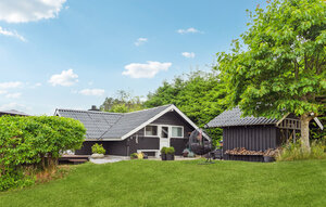 Holiday Home - Handrup Bakker , Denmark - D18117 1
