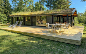 Holiday Home - Ebdrup , Denmark - D44046 1