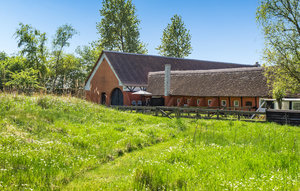 Apartment - Egense-Dokkedal , Denmark - D61703 1