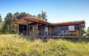 Ferienhaus - Anholt , Dänemark - D75034