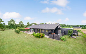 Ferienhaus - Rørbæk Sø , Dänemark - D82308