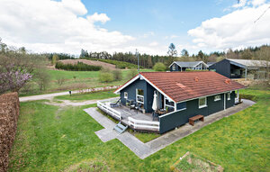 Holiday Home - Silkeborg , Denmark - D82228 1