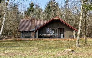 Holiday Home - Kongensbro , Denmark - D82360 1