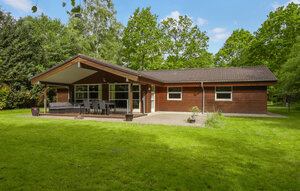 Holiday Home - Silkeborg , Denmark - D82400 1