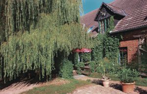 Apartment - Thulendorf/Sagerheide , Germany - DMV386 1
