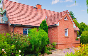 Ferienhaeuser - Wokuhl-Dabelow , Deutschland - DZV800
