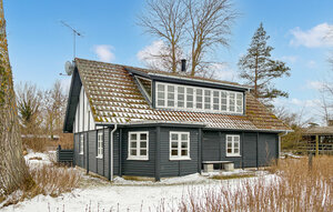 Holiday Home - Hou Strand , Denmark - E11017 1