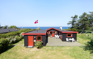 Holiday Home - Hald Strand , Denmark - E11365 1