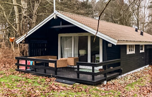 Holiday Home - Liseleje Strand , Denmark - E13021 1