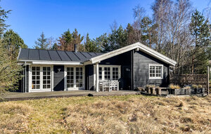Holiday Home - Tengslemark Lyng Strand , Denmark - E18756 1