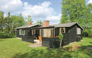 Ferienhaus - Torndrup , Dänemark - E6163