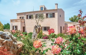 Feriehuse - Ariany , Spanien - EMA110