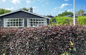 Holiday Home - Hejlsminde , Denmark - F04201 1