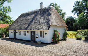 Holiday Home - Stepping , Denmark - F05006 1