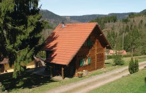 Holiday Home - Saulxures , France - FDB016 1