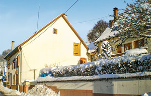 Holiday Home - Natzwiller , France - FDB017 1